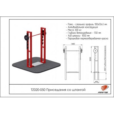 Приседания со штангой TZ020-050